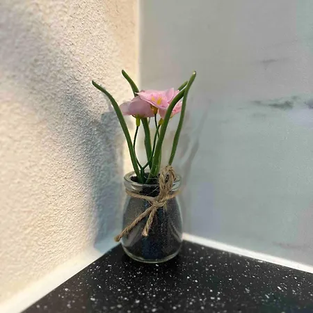 公寓 Beautiful Near Basel 2 Pers Parking 圣路易