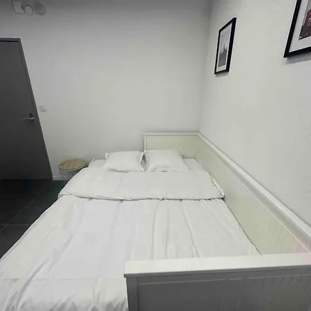 Beautiful Near Basel 2 Pers Parking 公寓 圣路易